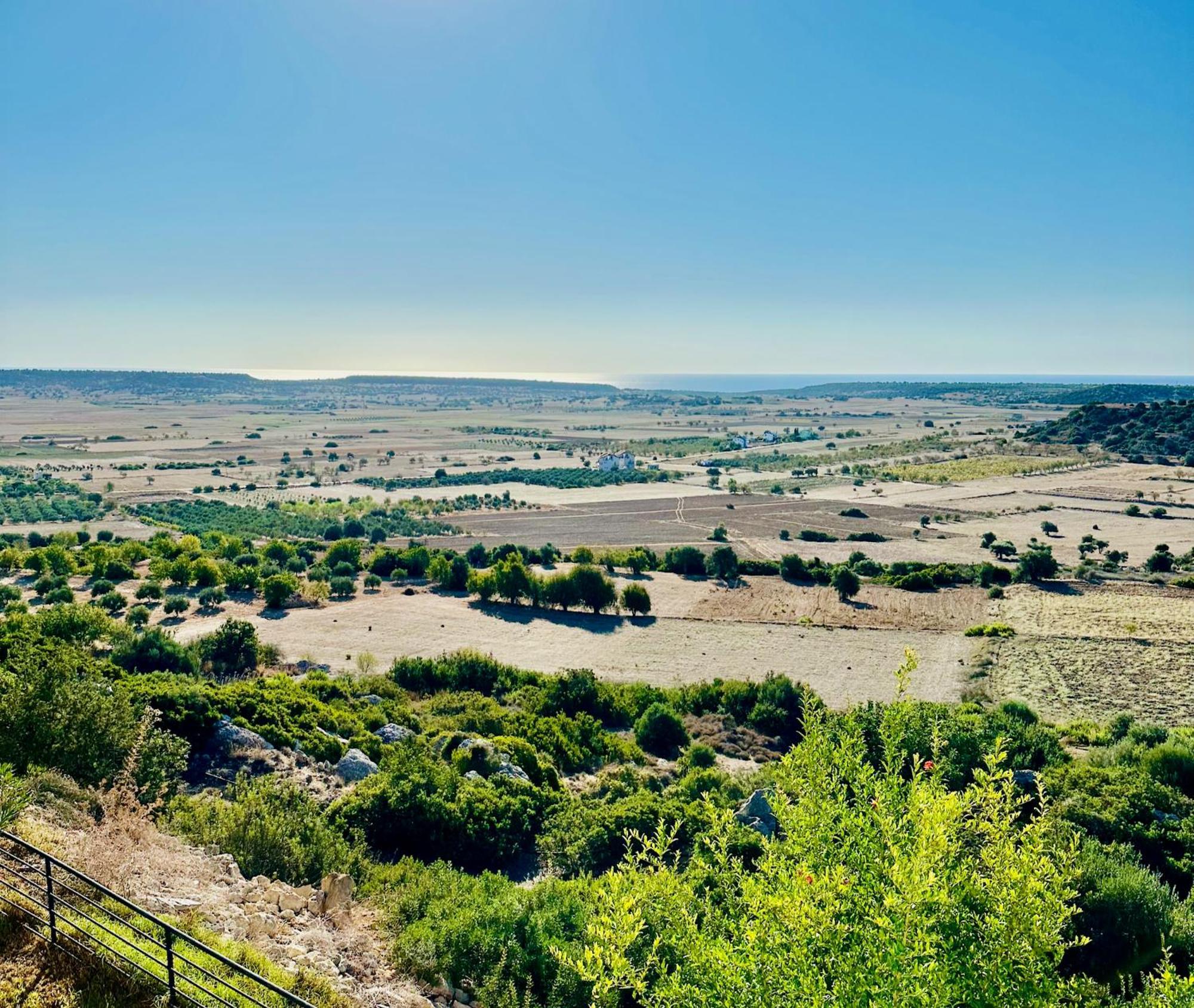 Celebi Garden Hotel - Cittaslow Famagusta  Buitenkant foto