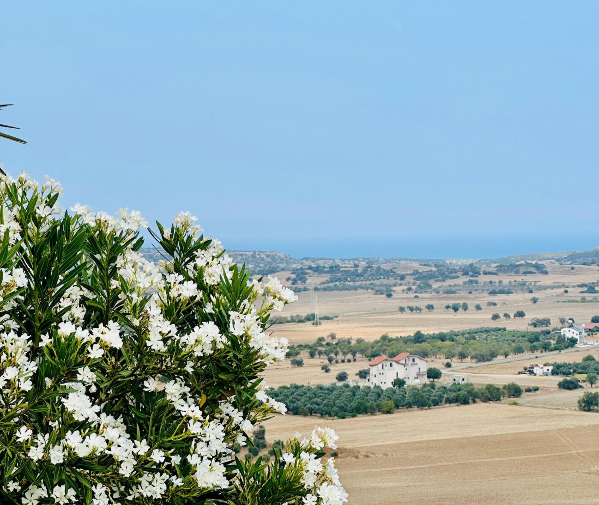 Celebi Garden Hotel - Cittaslow Famagusta  Buitenkant foto